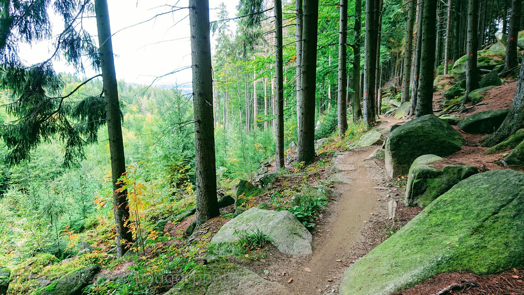 Rychleby Trails (Rychlebské stezky)
